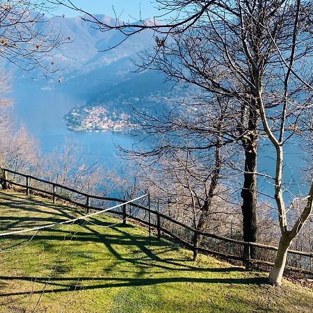 Il Riccio Appartamento Cernobbio Buitenkant foto