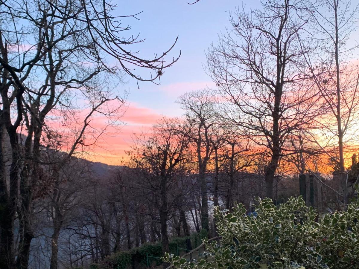 Il Riccio Appartamento Cernobbio Buitenkant foto