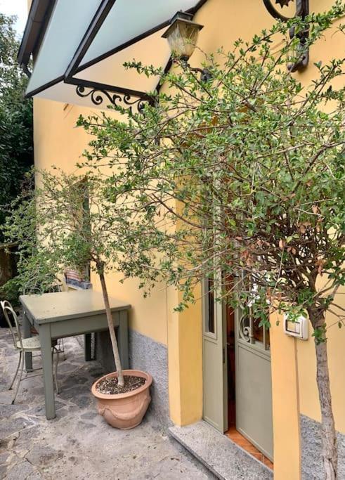 Il Riccio Appartamento Cernobbio Buitenkant foto