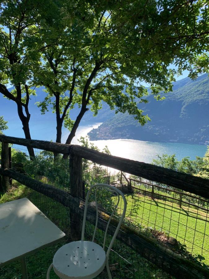 Il Riccio Appartamento Cernobbio Buitenkant foto